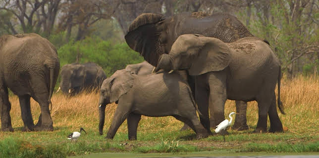 09:00: Stadt Land Kunst Spezial | Arte | 11/22 2025