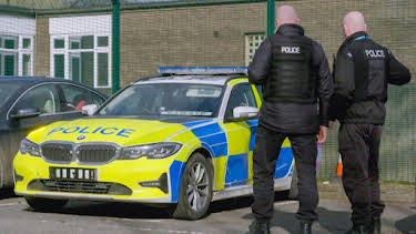 1:00 PM: Traffic Cops (S12 E8) (S12) | 5 Star | 1/13 2026