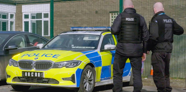 11:00 AM: Traffic Cops (S12 E8) (S12) | 5 Star | 11/28 2025