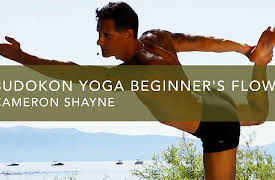 Budokon Beginning Practice: Pose Guide