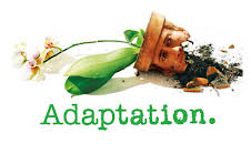 Adaptation