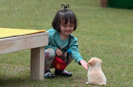 Little Forest: Little Forest Episode 15