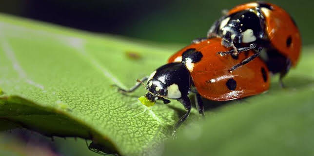 20:15: Wilde Eltern (1/2) | SWR Fernsehen BW | 3/15 2026