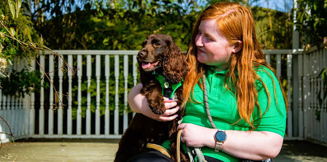 7:55 PM: The Dog House | More 4 | 2/12 2026