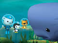 Octonauts