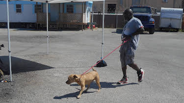 15:00: Pit Bulls & Parolees (S8 E17) (S8) | Animal Planet | 5/18 2026