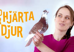 Med hjärta för djuren