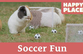 Happy Place: Soccer Fun