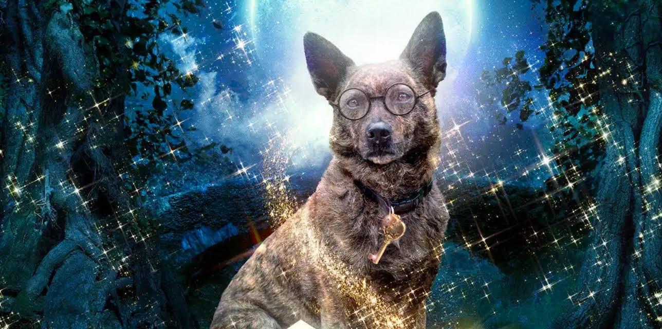 Amazing Wizard of Paws (2015)