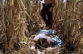 Unusual Suspects: Deadly Intent: Field of Nightmares