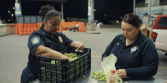 8:00 AM: Border Force America's Gatekeepers (S6 E7) (S6) | Dave | 12/5 2025