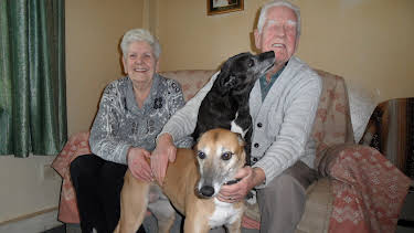 02:45: Animal ER (S1 E3) (S1) | Animal Planet | 4/1 2026