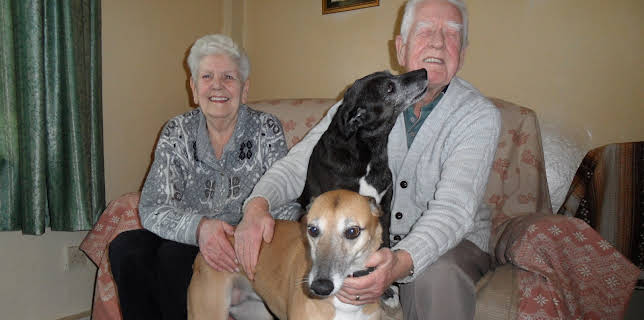 00:00: Animal ER (S1 E3) (S1) | Animal Planet | 11/24 2025