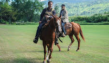 Hawaii Five-0 (S9 E10)