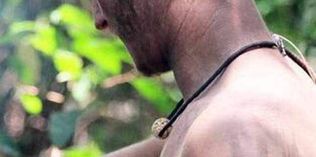 09:46: Aventura en pelotas: La Plaga | Discovery Max | 2/25 2026