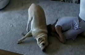 Life's Funniest Moments: Season 1: Episode 210