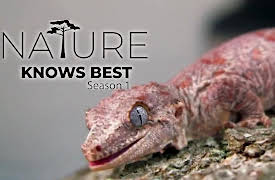 Xploration Nature Knows Best: Nature's Sticky Inventions