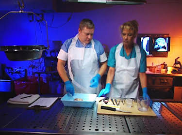 00:35: Medical Detectives - Geheimnisse der Gerichtsmedizin | VOX | 4/23 2026