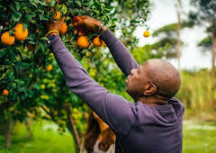 Clive Myrie's Italian Road Trip