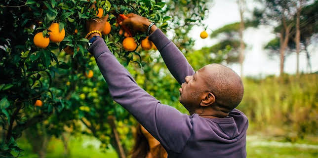 3:00 PM: Clive Myrie's Italian Road Trip (S1) | BBC Two | 3/20 2026