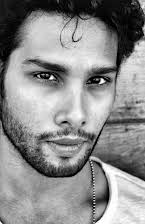 Siddhant Chaturvedi as 