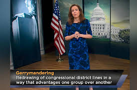 Understanding the US Government: How Congressional Elections Work