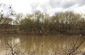 The Perfect Suspect: Episode 1