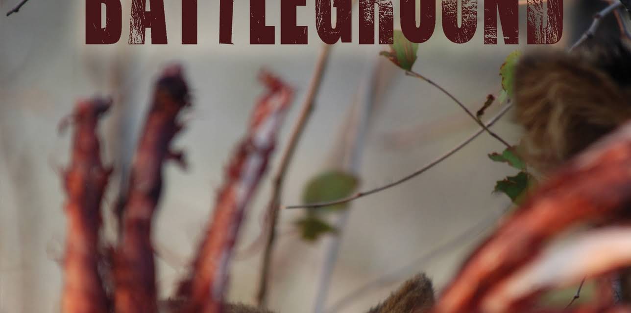 Predator Battleground (2009)