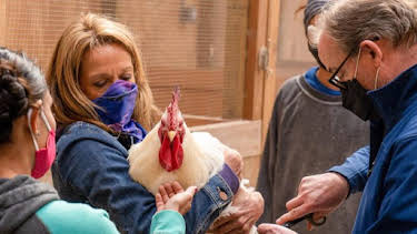 2:00 PM: Dr. Jeff: Rocky Mountain Vet (S7) | Discovery Channel | 9/10 2026