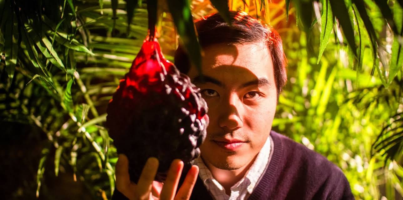 The Fruit Hunters (2013)