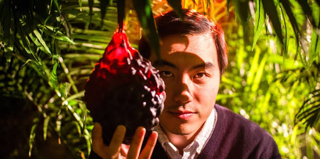 The Fruit Hunters (2013)