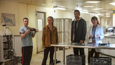 00:00: NCIS: Hawai'i (S3 E10) (S3) | TV8 | 3/29 2026