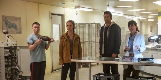 14:15: NCIS: Hawai'i (S3 E10) (S3) | TV3 | 2/17 2026