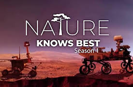 Xploration Nature Knows Best: Studying the Swarms