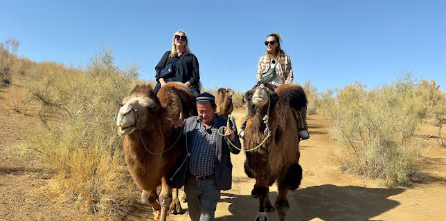 19:35: Null stjerner (S2 E2) (S2) | TVNorge | 1/17 2026