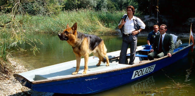 20:15: Kommissar Rex | Sat1 Gold | 12/24 2025