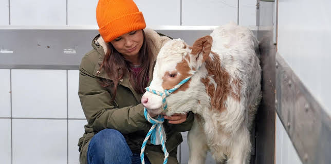 07:30: Anna und die Haustiere | Das Erste | 2/21 2026