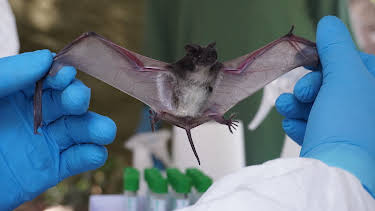 09:30: Leschs Kosmos | ZDFinfo | 4/1 2026