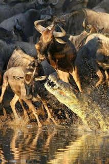 15:15: El verdadero club de la lucha | La Otra | 4/3 2026