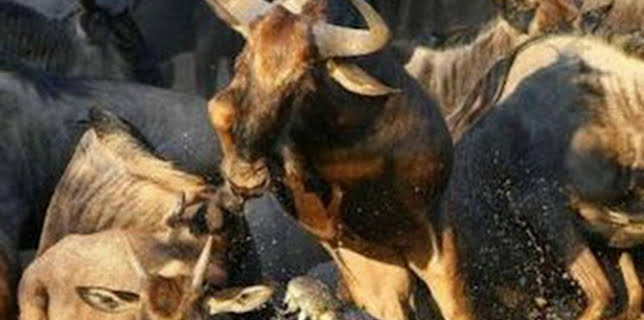 16:39: El verdadero club de la lucha | La Otra | 12/21 2025