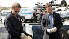 CSI: NY