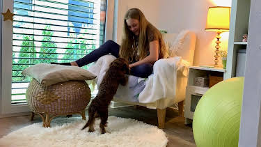 07:30: Liebste Fellnasen – Abenteuer Hundeschule | WDR Fernsehen | 8/5 2026
