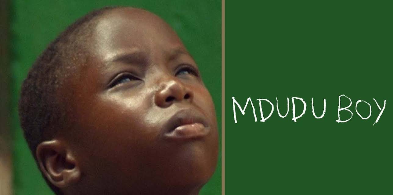 Mdudu Boy (2016)