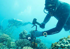 An Cruinne Caochlaideach/Dynamic Planet