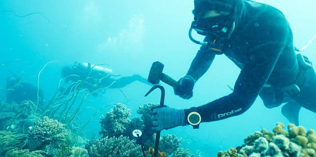 11:00 PM: An Cruinne Caochlaideach/Dynamic Planet (S1) | BBC Alba | 12/7 2025