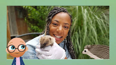 1:10 PM: Teeny Tiny Creatures (S2) | Cbeebies | 2/5 2026