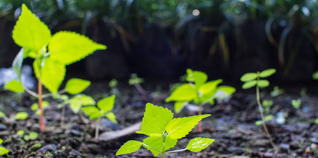 06:00: Shed And Buried (S1 E15) (S1) | Discovery Channel | 12/15 2025