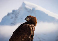 Planet Earth II