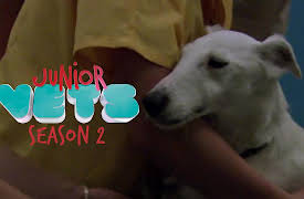 Junior Vets: First Day at Vet School