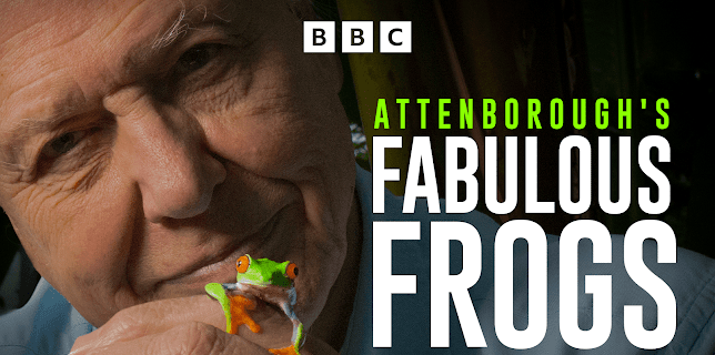 Attenborough's Fabulous Frogs (2014)